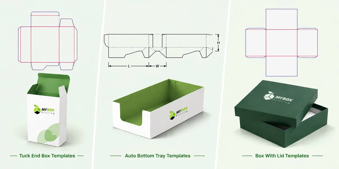 dielines and 3D renders of tuck end, auto bottom tray, and box with lid carton templates