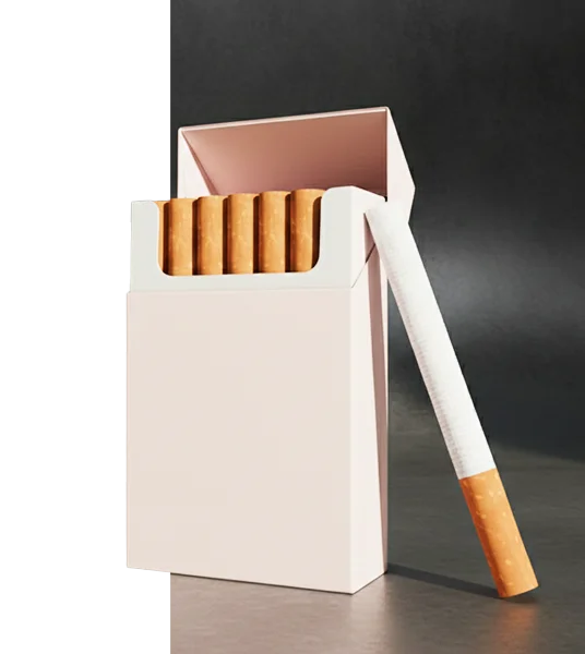 Blank Cigarette Boxes