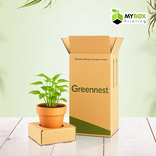 plant-subscription-box