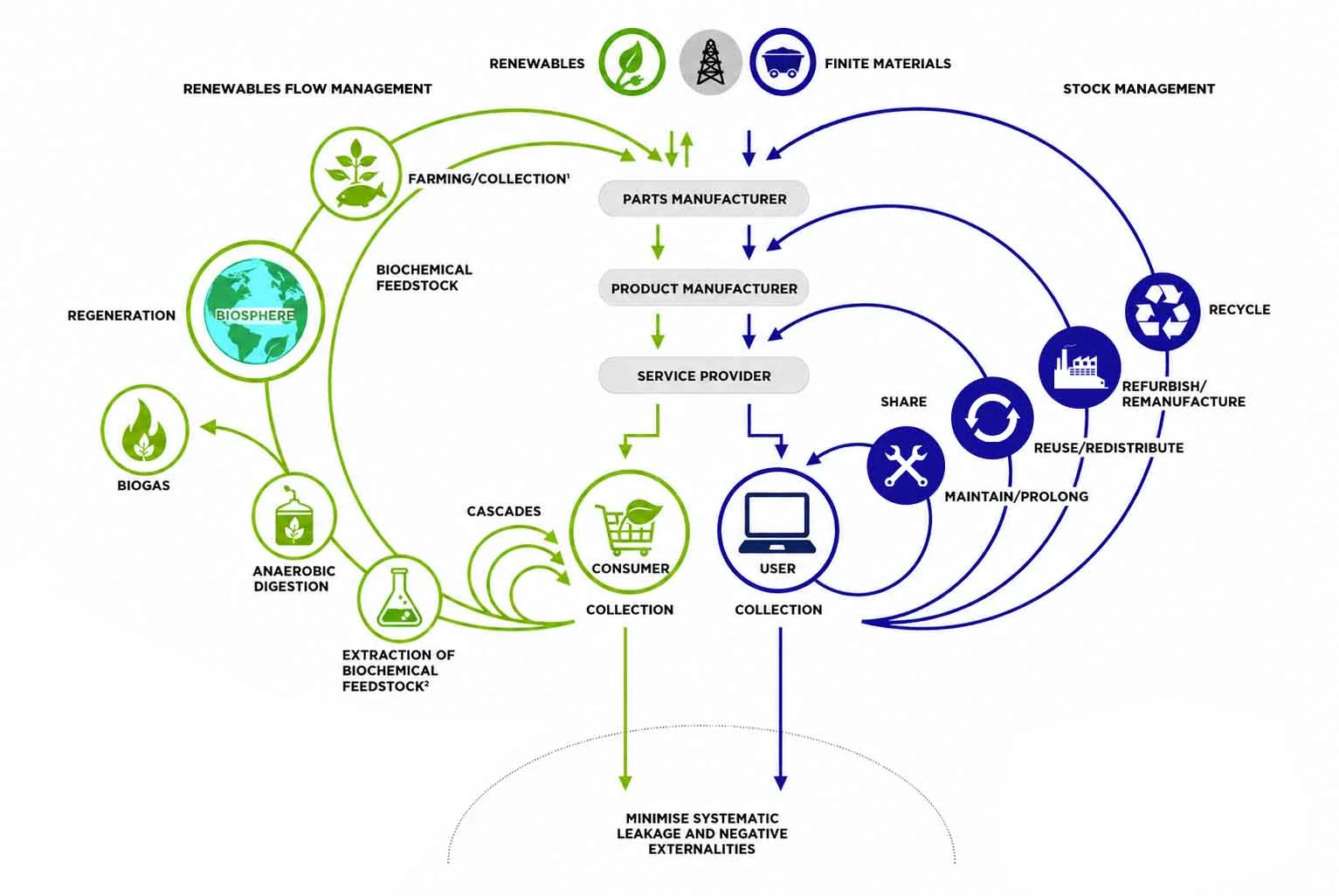 the ellen macarthur foundation butterfly diagram illustrating biological cycle and technical cycle of circular economy