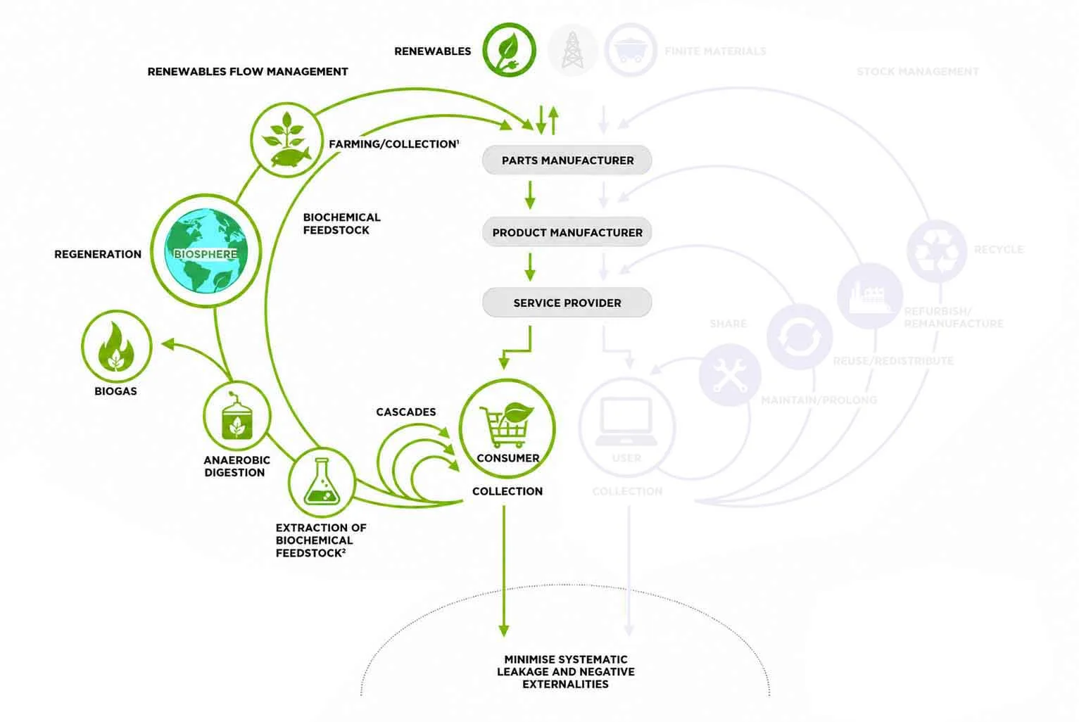 the biological cycle of circular packaging diagram
